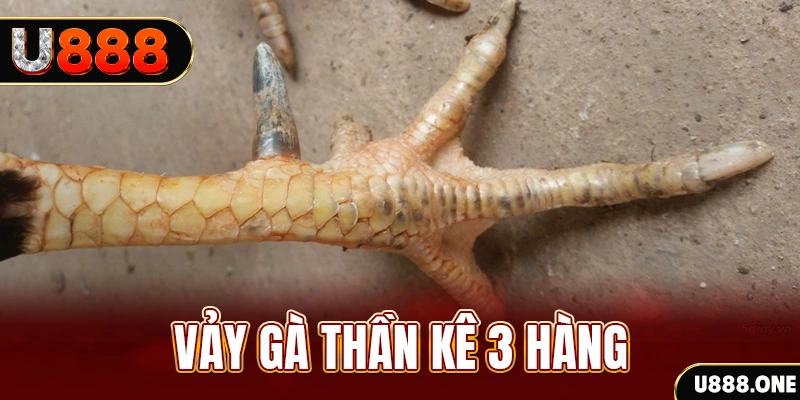 s689 nổ hũ đổi thưởng . ai