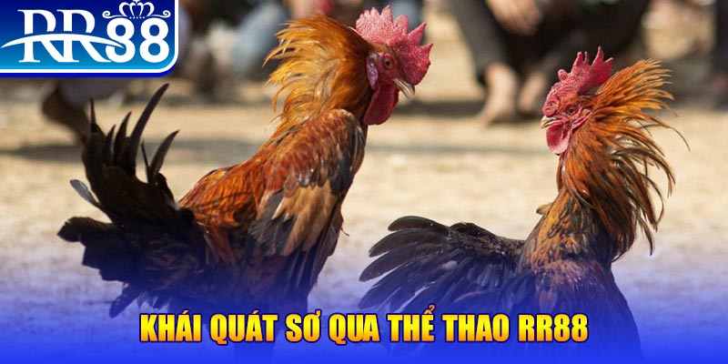 s689 nổ hũ là như thế nào