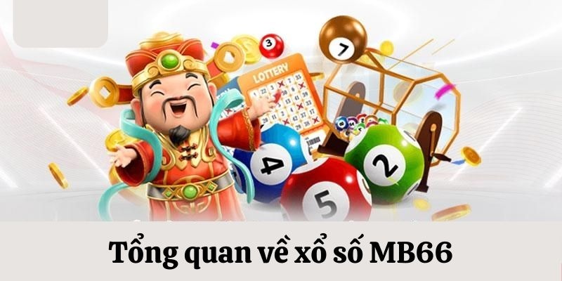 s689 slot là gi