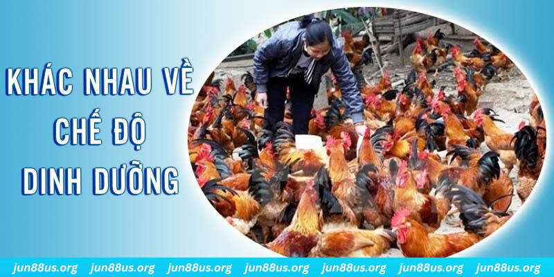 s689 xổ số thứ sáu hàng tuần