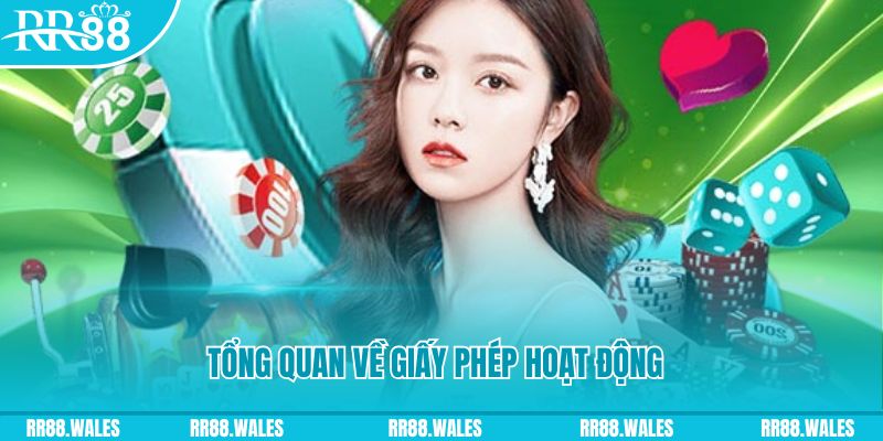s689 kết quả xổ số kiến thiết miền bắc