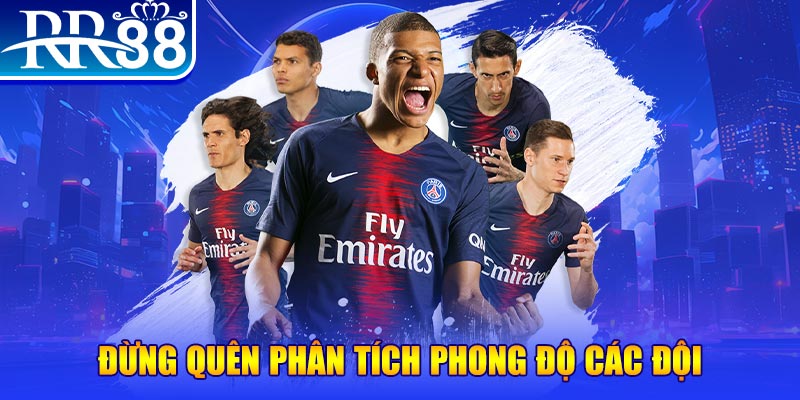 s689 chổi lông gà