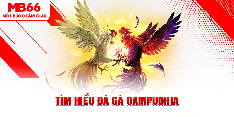s689 tại sao không tải được nổ hũ
