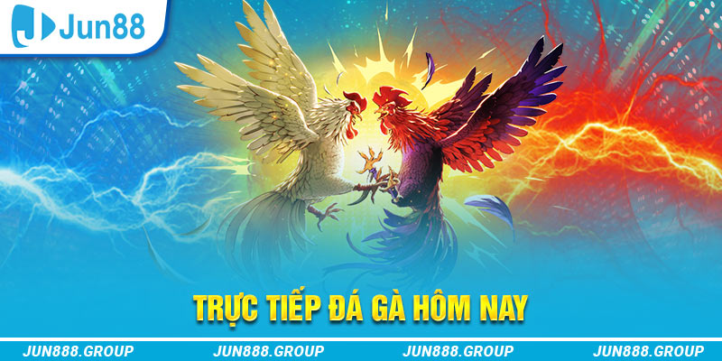 s689 68 game bài máy chủ ở đâu