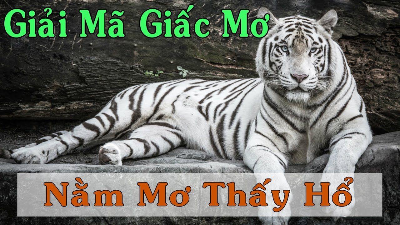 s689 xổ số miền trung