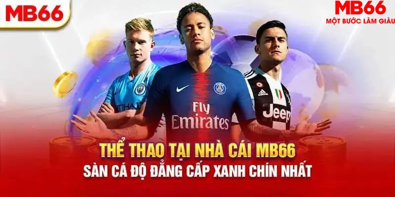 s689 HB Điện Tử