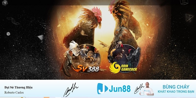 s689 xổ số miền nam hàng tuần