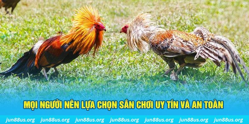 s689 hơn cả bạn bè