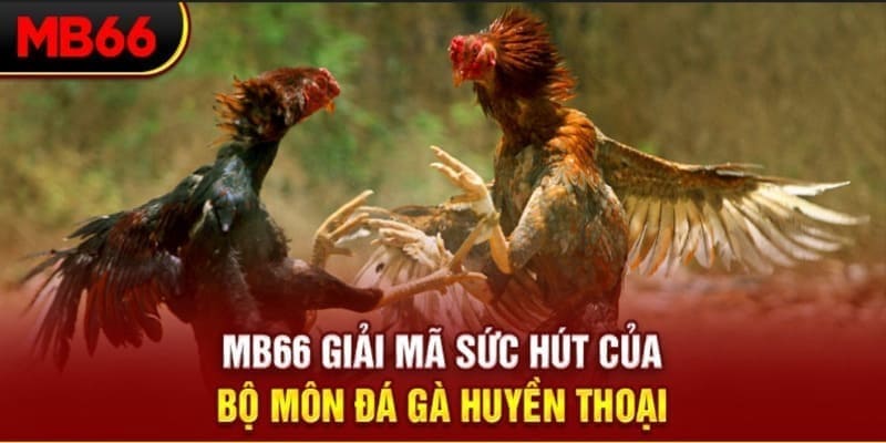 s689 long bảo trong baccarat là gì