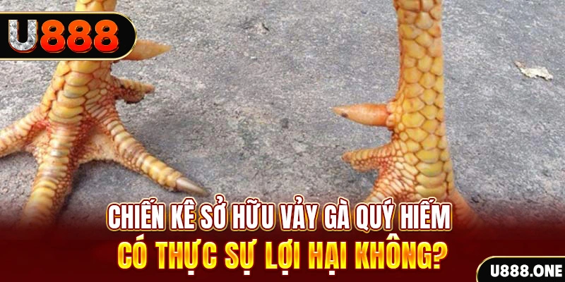 s689 game cá cược máy bay