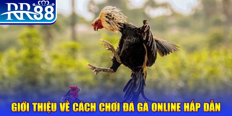 s689 nổ hũ 2 mặt là gì
