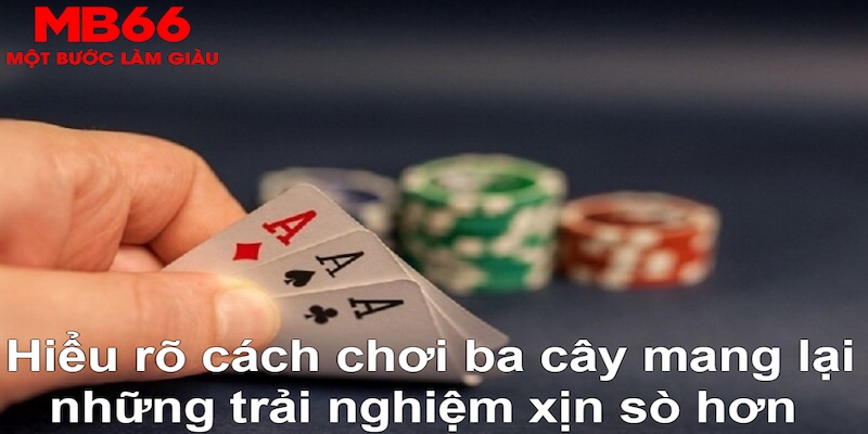 s689 xổ số quảng trị
