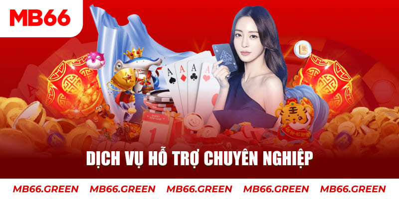 s689 gà chọi cậu thanh