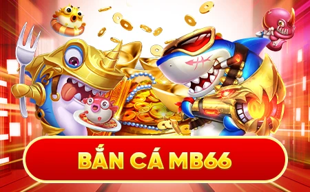 s689 Cỡ bảy