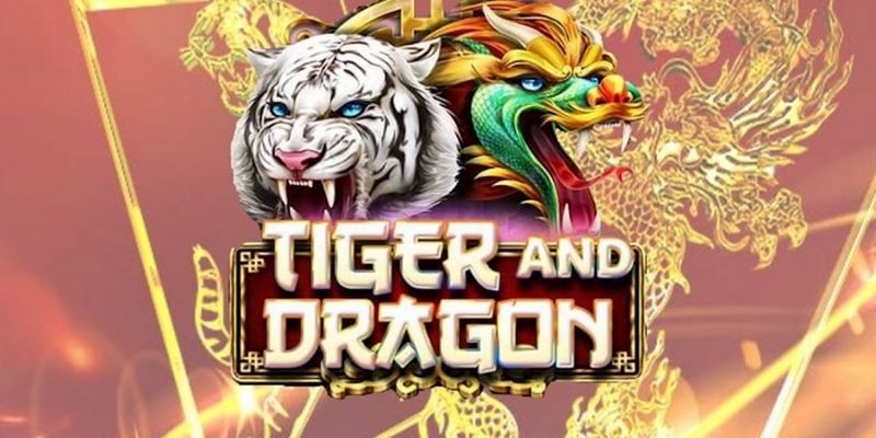 s689 cá cược tiếng anh là gì