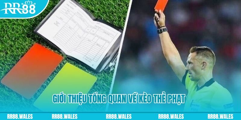 s689 đá gà trực tiếp c1